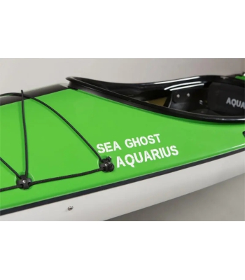 Aquarius Sea Ghost