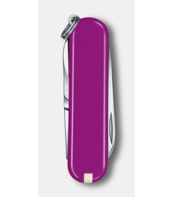 Szwajcarski scyzoryk od Victorinox Classic SD Tasty Grape